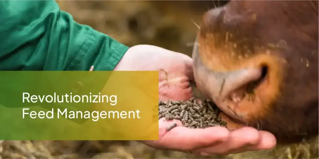 Animal Feed Trends