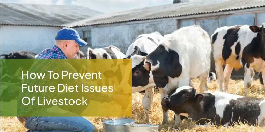 Livestock