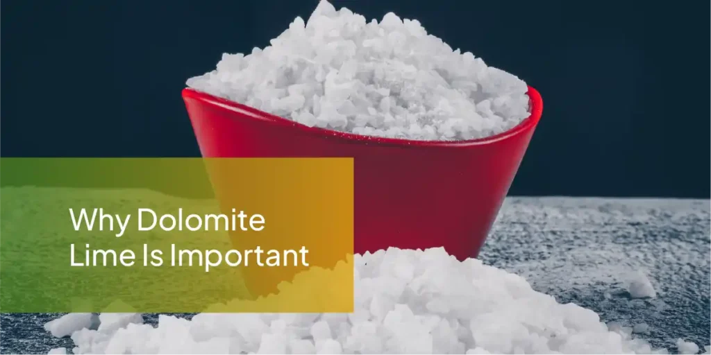 Dolomite Lime